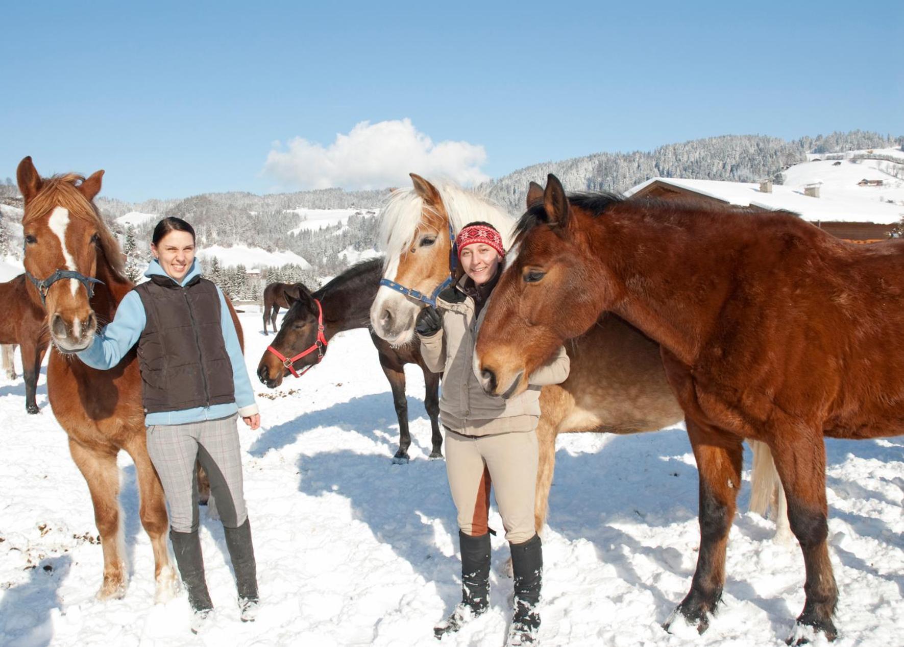 Hotel & Alpin Lodge Der Wastlhof نيديراو المظهر الخارجي الصورة