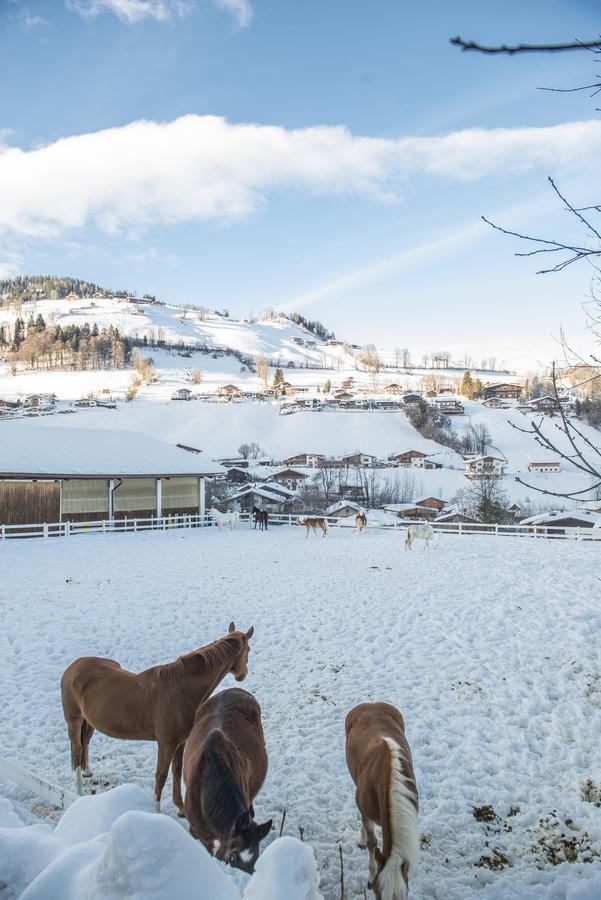 Hotel & Alpin Lodge Der Wastlhof نيديراو المظهر الخارجي الصورة